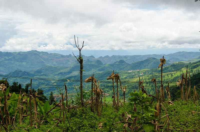 246 - Vietnam - montes Hoang Lien o Alpes Tonquineses - paisaje